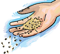 Mustard Seeds and Yeast Children's Sermon | Sermons4Kid...