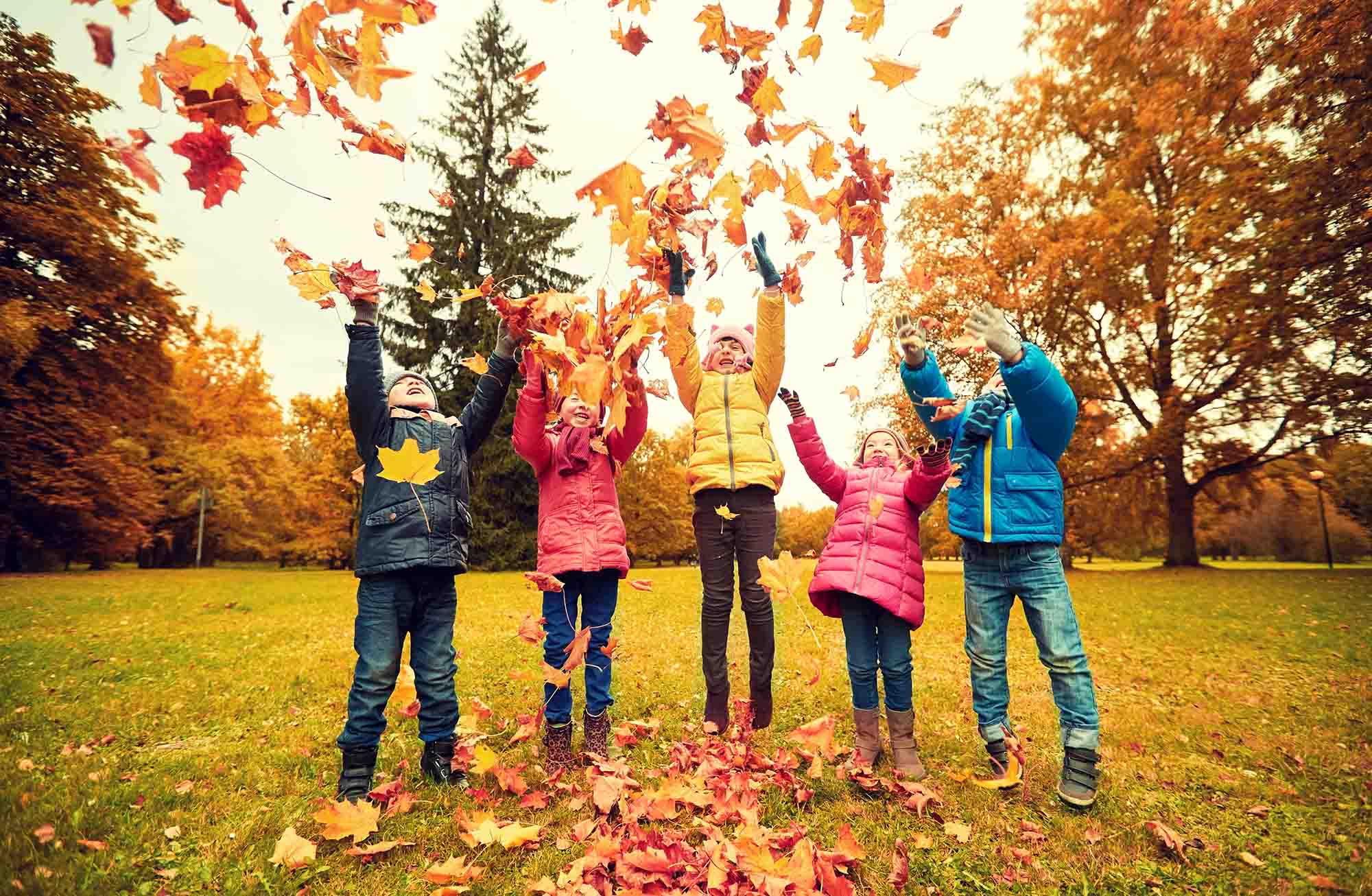 11 Must-Have Sunday School Materials for Fall | Sermons4Kids.com | Ser...