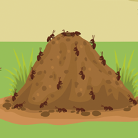 Be Diligent Like Ants