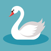 Be a Swan, Not a Duck